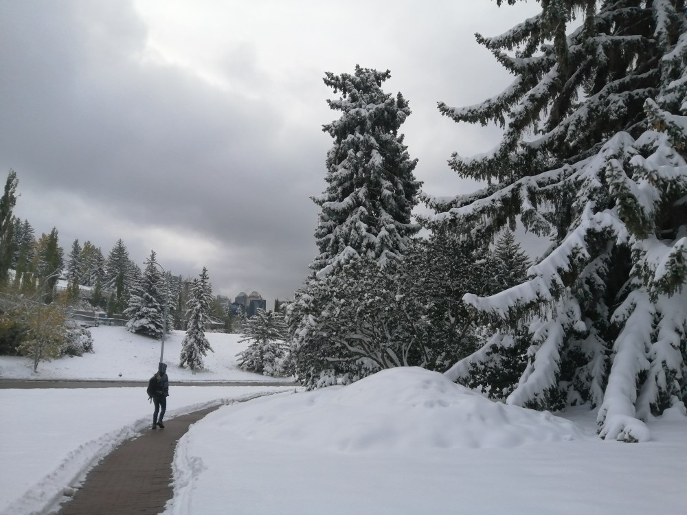 IMG_20190930_103247_1