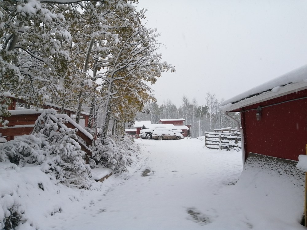 IMG_20191008_085810[1]