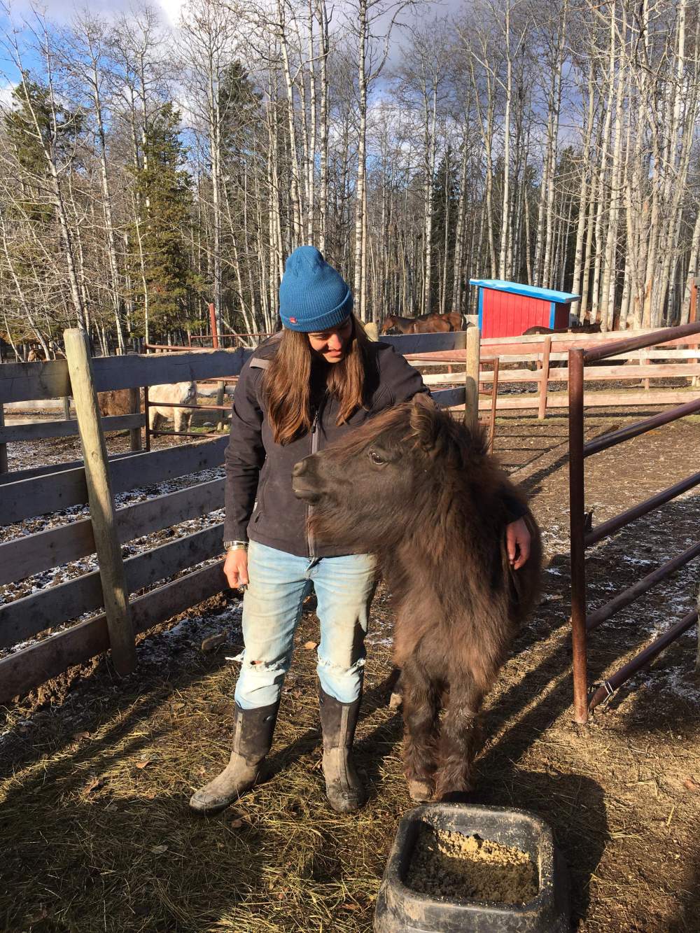 received_2340806936048507