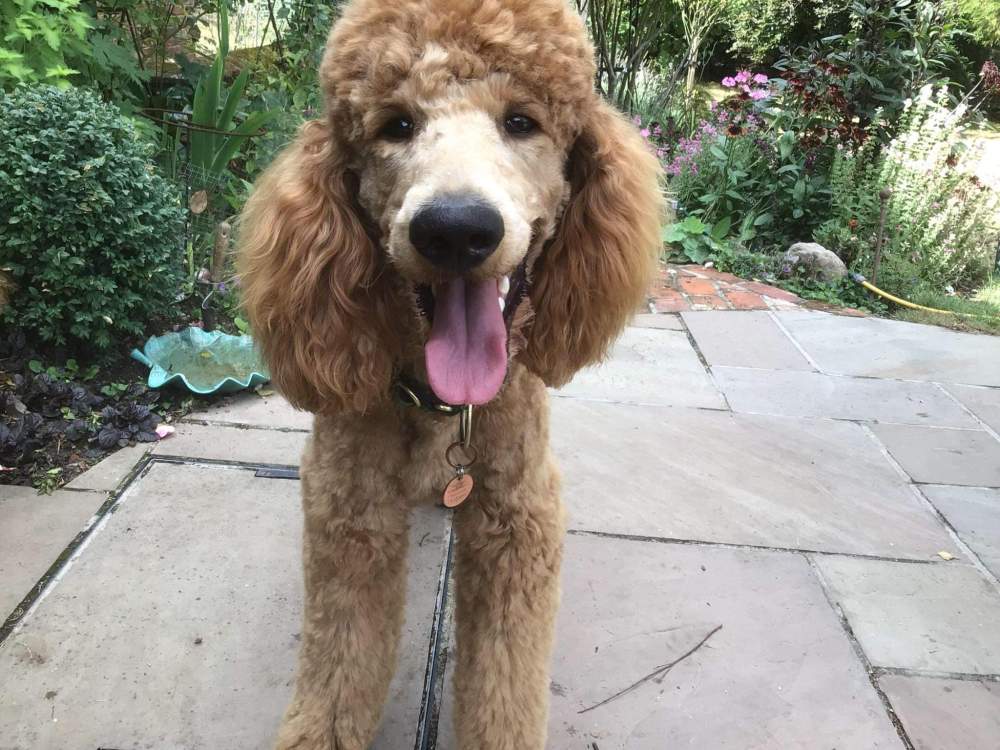 received_1705399846519903